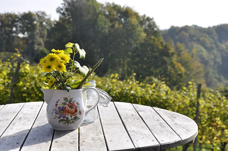 A sunny spring day
